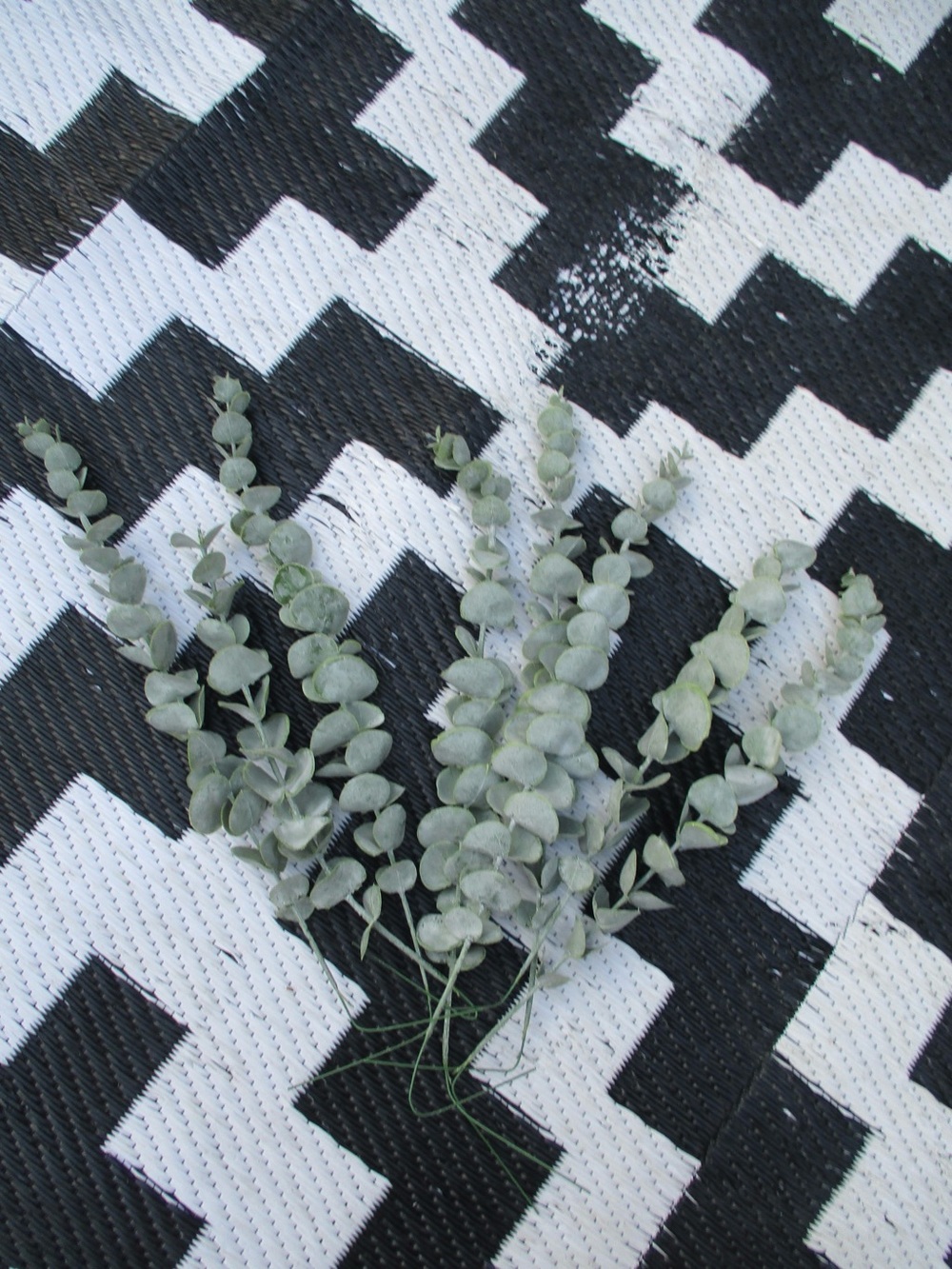 Faux Eucalyptus Stem Bundle - Sage Green